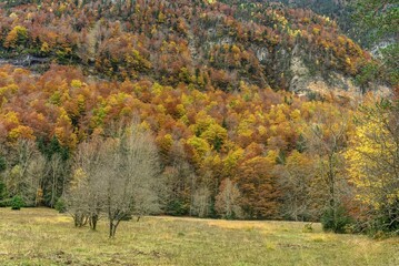 Ordesa and Monte Perdido National Park - Spain