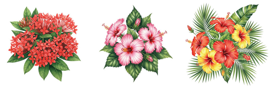 A colorful watercolor depiction of various tropical flowers, showcasing vibrant red and yellow ixora blooms and exotic hibiscus arranged with palm leaves.