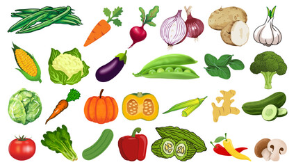 Illustration showing an assortment of various vegetables including beans corn onion and other garden produce