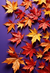 Arrangement of Red and Orange Autumn Leaves on Purple Background