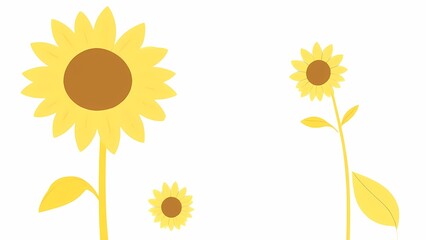 A charming and simple flat vector illustration of three bright yellow sunflowers of various sizes, isolated on a pure white background for a cheerful summer concept.