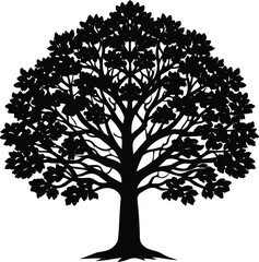 Black and white illustration of a deciduous tree with dense foliage