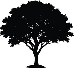 Fototapeta premium Monochrome silhouette of a majestic tree with dense foliage against white backdrop