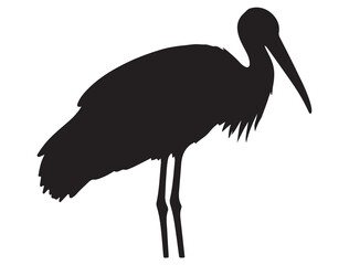 STORK BIRD SILHOUETTE