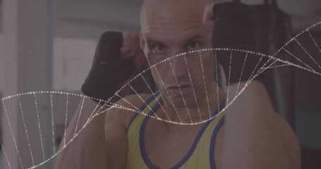 Man holding boxing guard while sparkles drifting and clustering into DNA helix visualizing fitness - Powered by Adobe