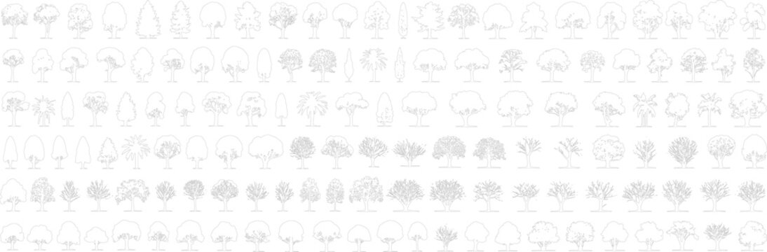Abstract Tree Line Drawings for Landscape and Architectural Projects. Minimal style cad tree line drawing