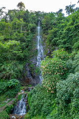 Landscape view of waterfall with flower and green plants