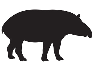 TAPIR SILHOUETTE 