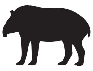 TAPIR SILHOUETTE 