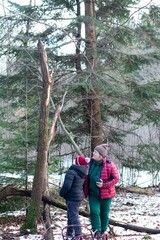 Winter woods exploration: An adult and child pause to observe a broken tree during a snowy day hike.