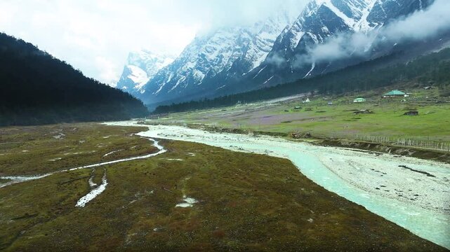 Drone footage of the rich greenery and bright purple flowers that define Yumthang Valley in summer.