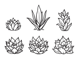 Detailed succulent plant contour line art vector graphic