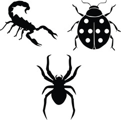 insect silhouette