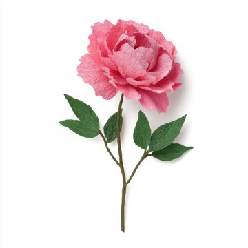 Crepe Paper Peony: Isolated Single Paper Flower