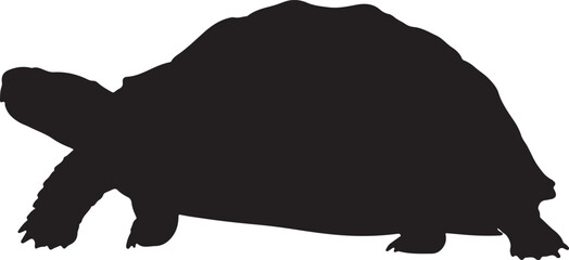TORTOISE SILHOUETTE