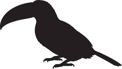 Obraz premium TOUCAN BIRD SILHOUETTE
