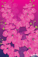Flower background vector illustration design
