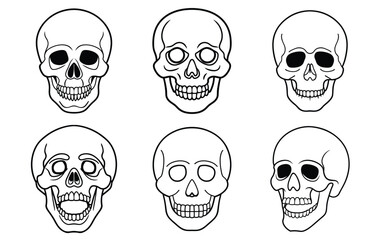 Human Skull Outlines Set, bundle of human skulls