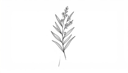 Elegant botanical illustration of a wildflower stem, detailed black and white line drawing