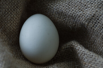 Close-up of a single egg placed against a textured burlap fabric, emphasizing nature's simplicity...