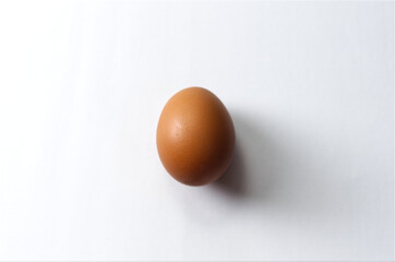 Brown Egg on White Background with Minimalistic Artistic Composition