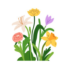Flower blooms mix. Spring and summer floral blossoms. Daffodil, lily, rose, ranunculus growing with leaves, delicate gentle petals. Garden nature. Flat vector illustration isolated on white background