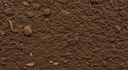 Detailed close-up of rich brown soil.