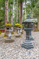 In the forest Patch of Nikko in Japan