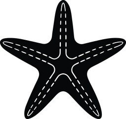 vector illustration of a starfish