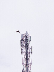 Close-up view of a tall cellular communication tower with visible antennas against a pale cloudy...