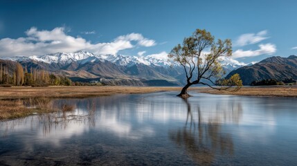 Fototapeta premium Lone Tree Reflection: A solitary tree dramatically leans over a calm lake, its reflection mirrored perfectly in the still water, with majestic snow-capped mountains in the background. 