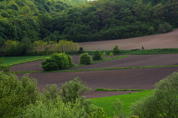 Lush green fields and rich brown soil highlight the beauty of a countryside landscape during late spring