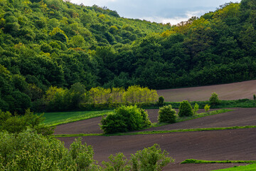 Lush green hills with vibrant trees and cultivated fields under a blue sky in the countryside