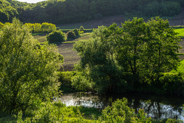 Serene countryside landscape with lush trees calm water and rolling fields during a sunny afternoon