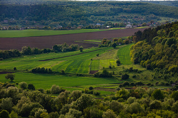 Vibrant green landscape under a bright sky with rolling hills and fields during late afternoon in a tranquil rural area
