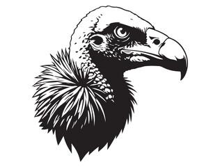 VULTURE SILHOUETTE