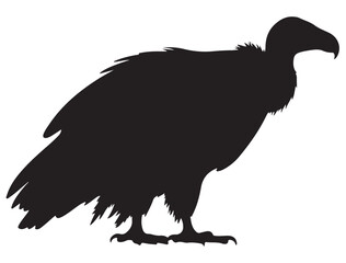 VULTURE SILHOUETTE