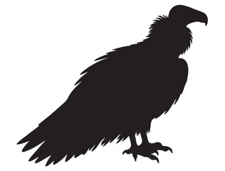 VULTURE SILHOUETTE