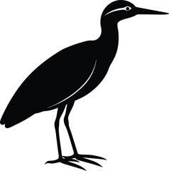 Black Crowned Night Heron silhouette vector art illustration and minimal black and white design