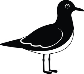 Black Headed Gull silhouette vector art illustration and minimal black and white design