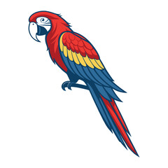 red and yellow macaw