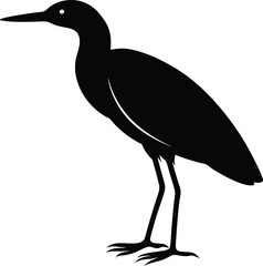 Indian Pond Heron silhouette vector art illustration