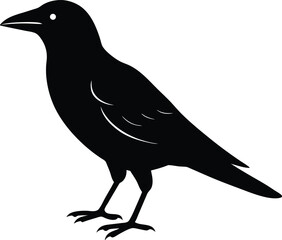 Jungle Crow Bird silhouette vector art illustration