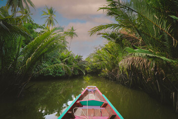 View of Nipa palm or Nypa fruticans Wurmb on river
