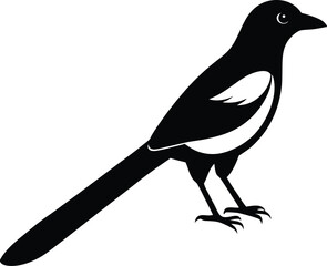 Red Billed Blue Magpie silhouette vector art illustration and minimal black and white design