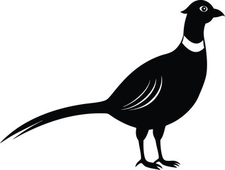 Ring Necked Pheasant silhouette vector art illustration and minimal black and white design