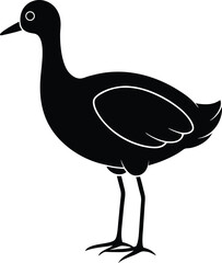 Swamphen Bird silhouette vector art illustration