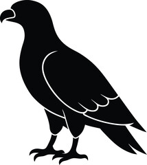 Steppe Eagle silhouette vector art illustration