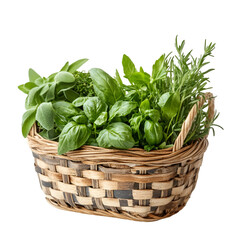 Naklejka premium Harvesting fresh herbs garden food photography natural light close-up culinary inspiration