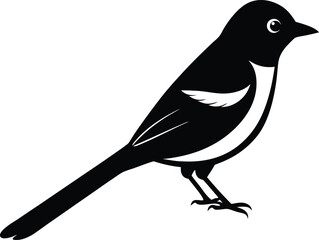 White Cheeked Bulbul Bird silhouette vector art illustration
